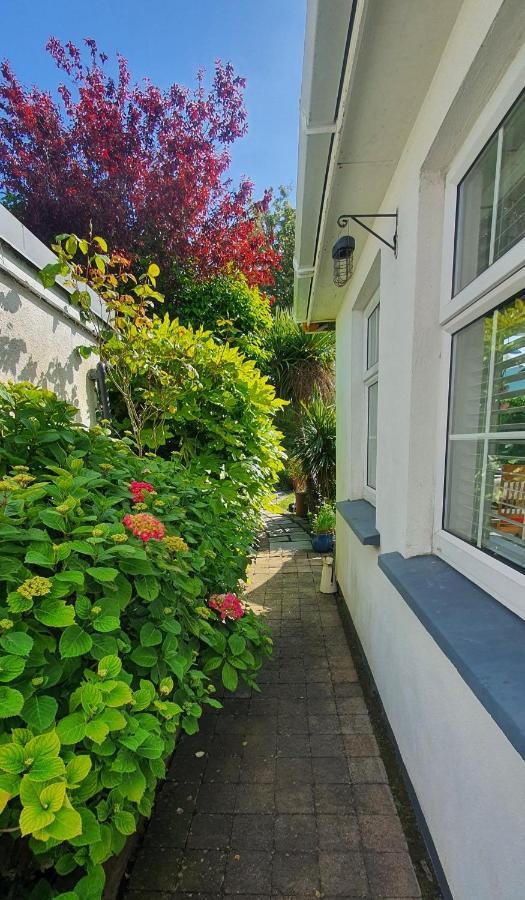 124 ,Castlelawn Heights, Headford Road Galway Homestay Exterior photo